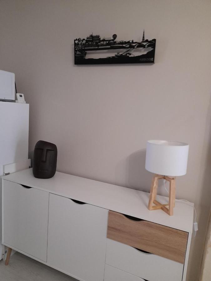 Le Cosy D'Amboise Apartamento Exterior foto